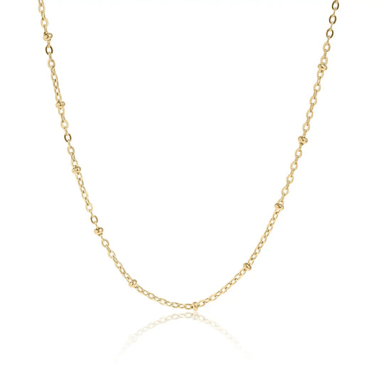 Cecilia Taylor Stainless Steel Satellite Chain Necklace